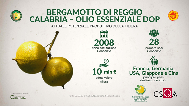 Infographic-Bergamot-of-Reggio-Calabria.jpg