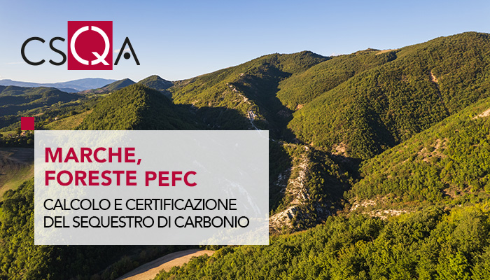 Marche,  Calcolo e certificazione del sequestro del carbonio nelle foreste PEFC