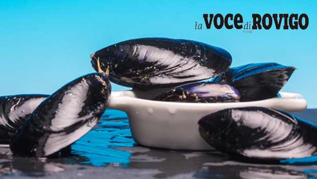 The Cozza di Scardovari DOP flies on the market
