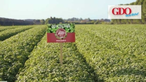 Polli racconta la sua attenzione a materie prime e qualità grazie alla filiera agroalimentare