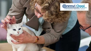 Veterinarians prepare for SQNBA certification