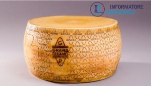 Grana Padano DOP: Safe milk starts with hygiene during milking.