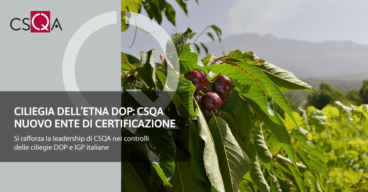 Ciliegia dell’Etna DOP: CSQA nuovo ente di certificazione per lo sviluppo della filiera
