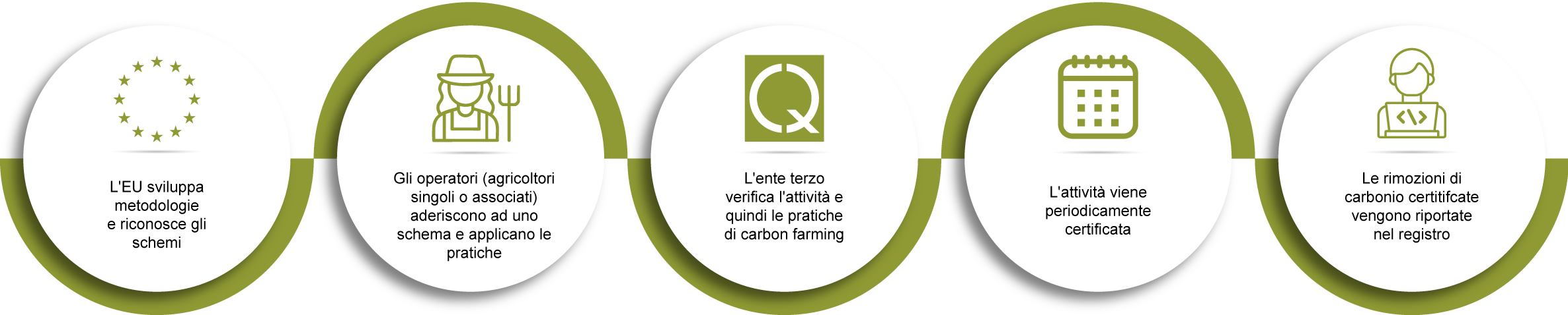 Infografica.png