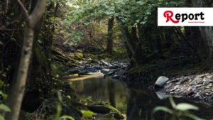 Cantagallo's forest therapies experience at the European Congress of Psychosomatic Medicine