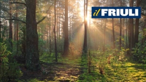 Friuli-Venezia Giulia Sustainable Forest Management Group: reaching 100,000 members