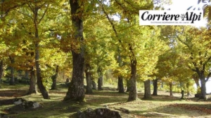 Boschi certificati e progetto verde: La Regola di Costa prima in Veneto