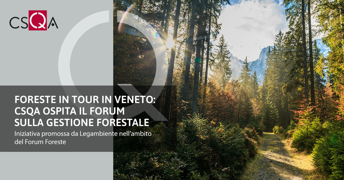 Foreste in Tour in Veneto: CSQA ospita il forum sulla gestione forestale sostenibile