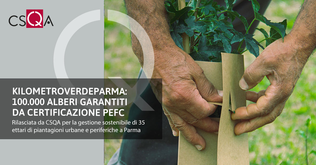 KilometroVerdeParma: 100,000 trees guaranteed by PEFC certification