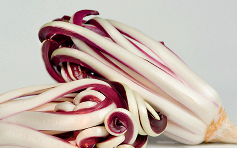 Radicchio rosso di Treviso IGP