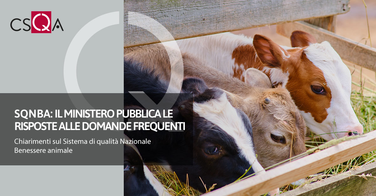 SQNBA: il Ministero pubblica le risposte alle domande frequenti