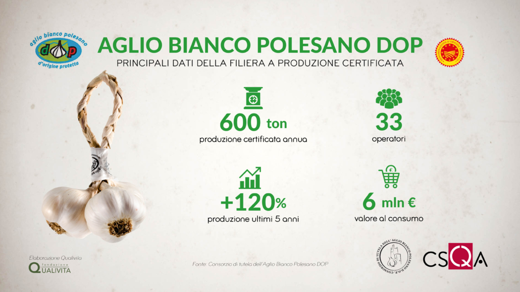 Aglio Bianco Polesano DOP, crescita della produzione con una filiera da 6 milioni di euro