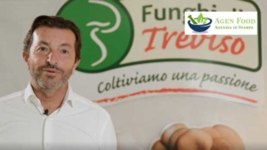 Consorzio Funghi di Treviso, superati i 50 milioni di euro di fatturato