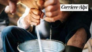 Prezzo del latte ai massimi storici mentre cala il numero delle stalle