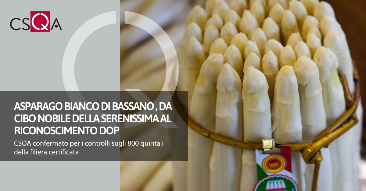 Bassano white Asparagus  PDO, from noble food of the Serenissima to DOP recognition