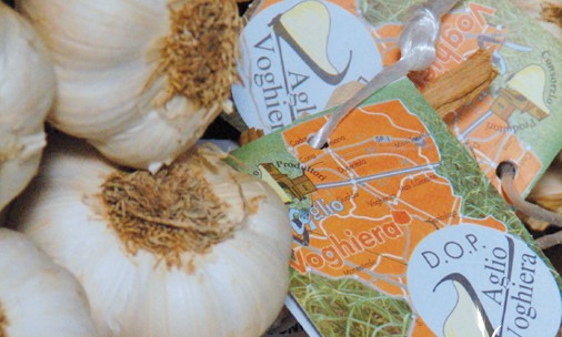 Aglio di Voghiera DOP