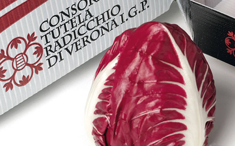 Radicchio di Verona IGP