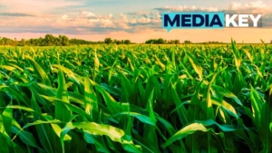 Purina verso l’agricoltura rigenerativa: la forza di un network europeo multi-stakeholder