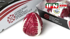 Radicchio d’Argento: 25 anni di gusto, cultura e territorio