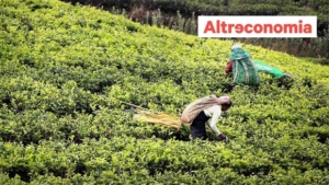 Fair Trade: The impact of fair trade is real and measurable