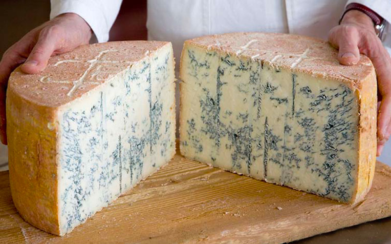 Gorgonzola DOP