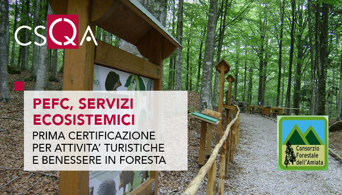 Consorzio Forestale dell'Amiata, first to certify the PEFC ecosystem services of Tourism and Suitability of the forest for forest well-being