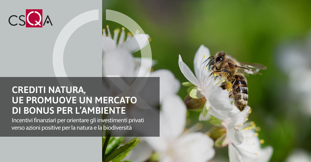 Crediti natura, UE promuove un mercato di bonus per l’ambiente
