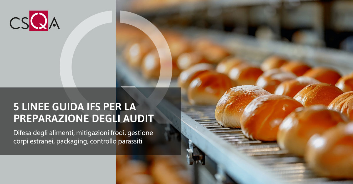 5 IFS Guidelines for Audit Preparation