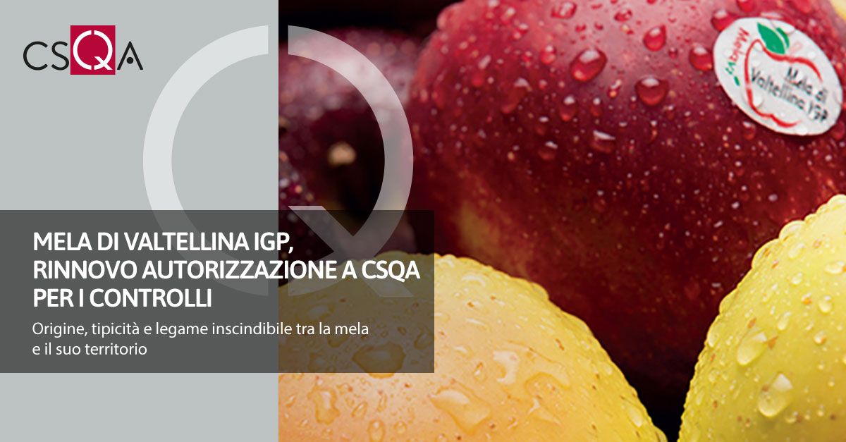 Mela di Valtellina IGP, rinnovo autorizzazione a CSQA per i controlli 