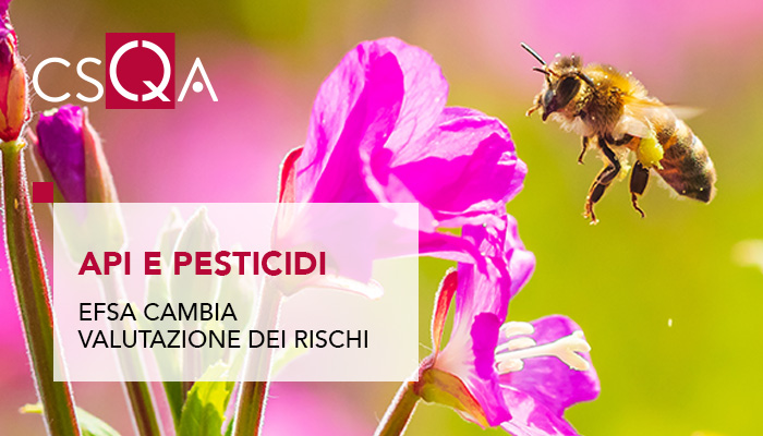 Api e pesticidi: EFSA cambia la valutazione dei rischi