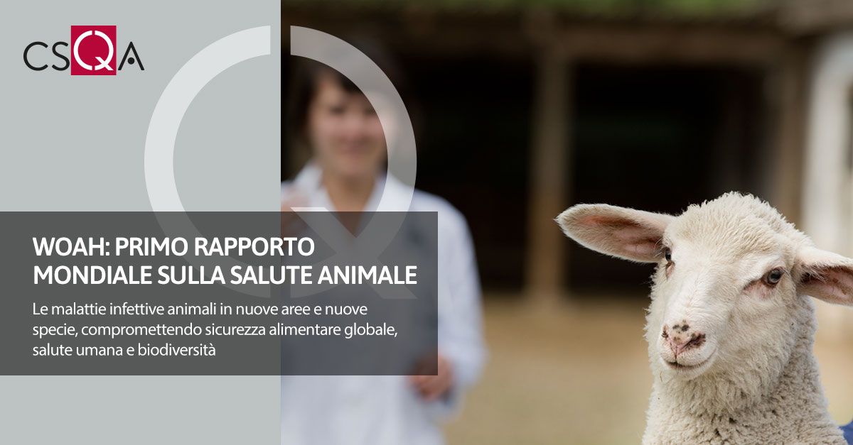 WOAH: primo rapporto mondiale sulla salute animale