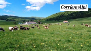 Cansiglio Dairy Centre: Organic Milk Repays Efforts