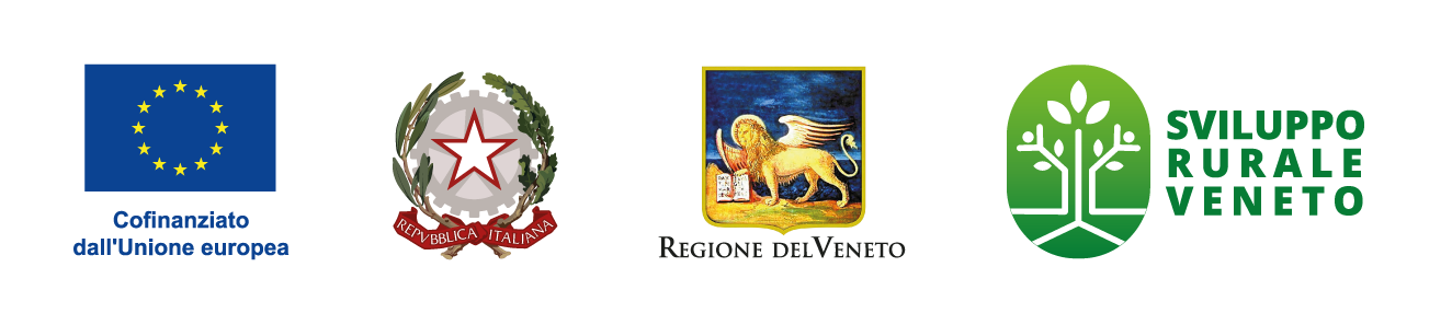 striscia-4-loghi.png striscia-4-loghi.png