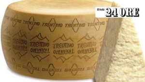 Supply Chain Contracts: €43 Million for Trentingrana