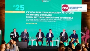 Unaitalia: nel 2024 i consumi pro capite di carni bianche superano i 22 kg
