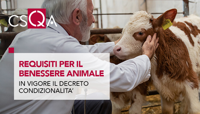 Requisiti per il benessere animale e regole di condizionalità