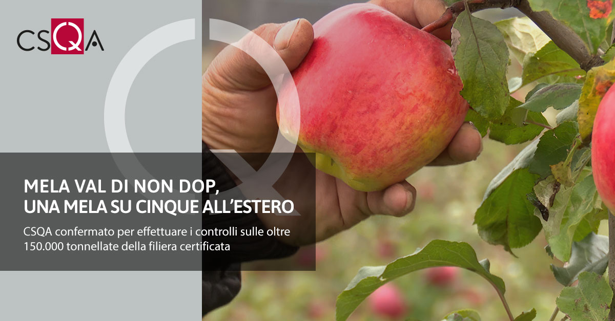 Val di Non PDO apple, one in five apples abroad