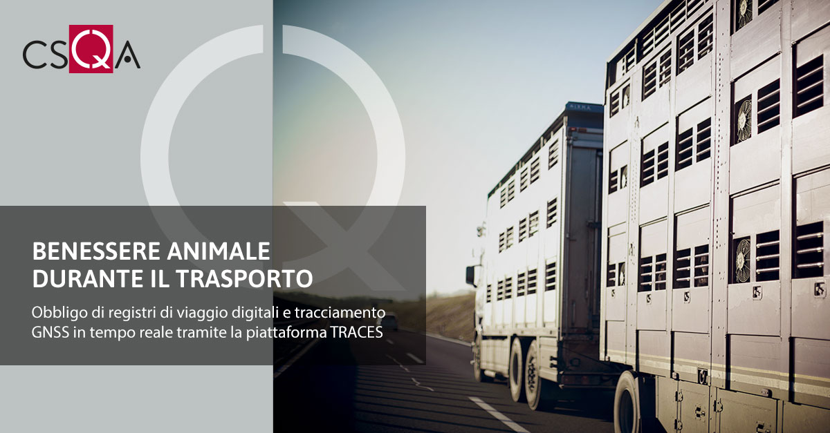 Benessere animale durante il trasporto
