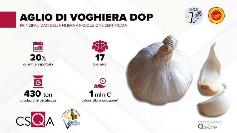 Infografica-Aglio-di-Voghiera-DOP-CSQA.jpg