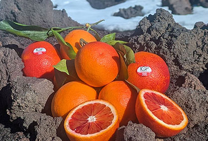 Arancia Rossa di Sicilia PGI