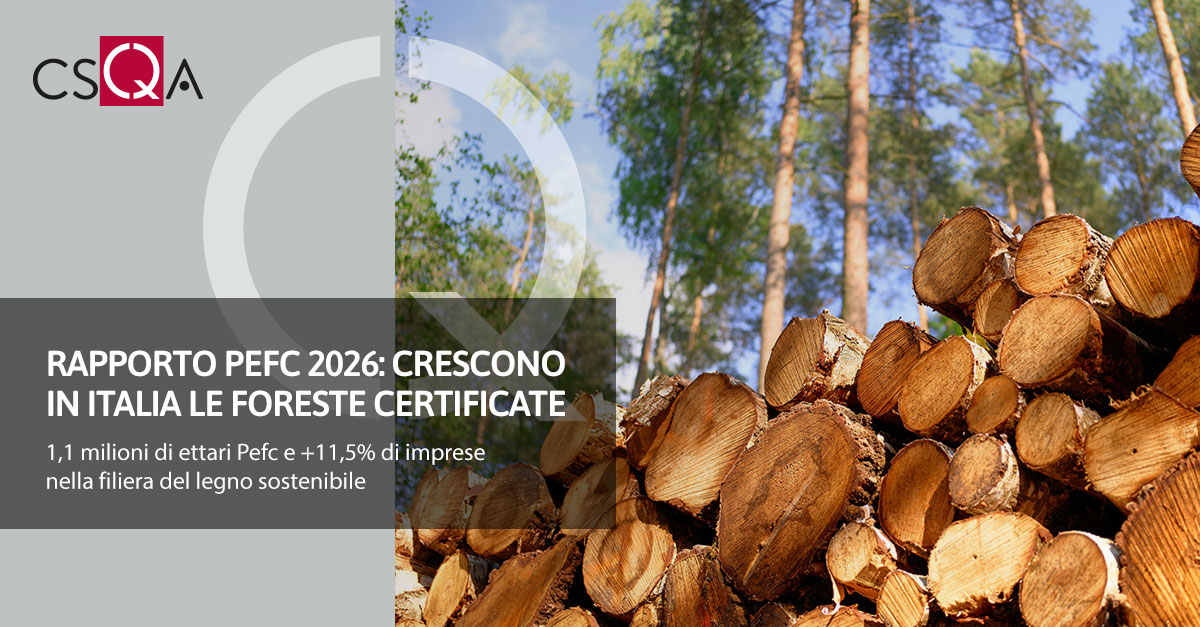 PEFC 2026 Report: Certified Forests on the Rise in Italy