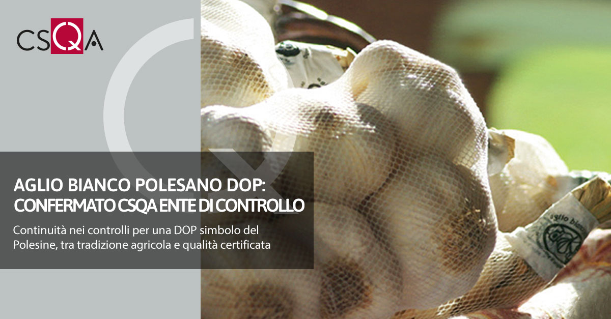 Aglio Bianco Polesano DOP: confermato CSQA ente di controllo