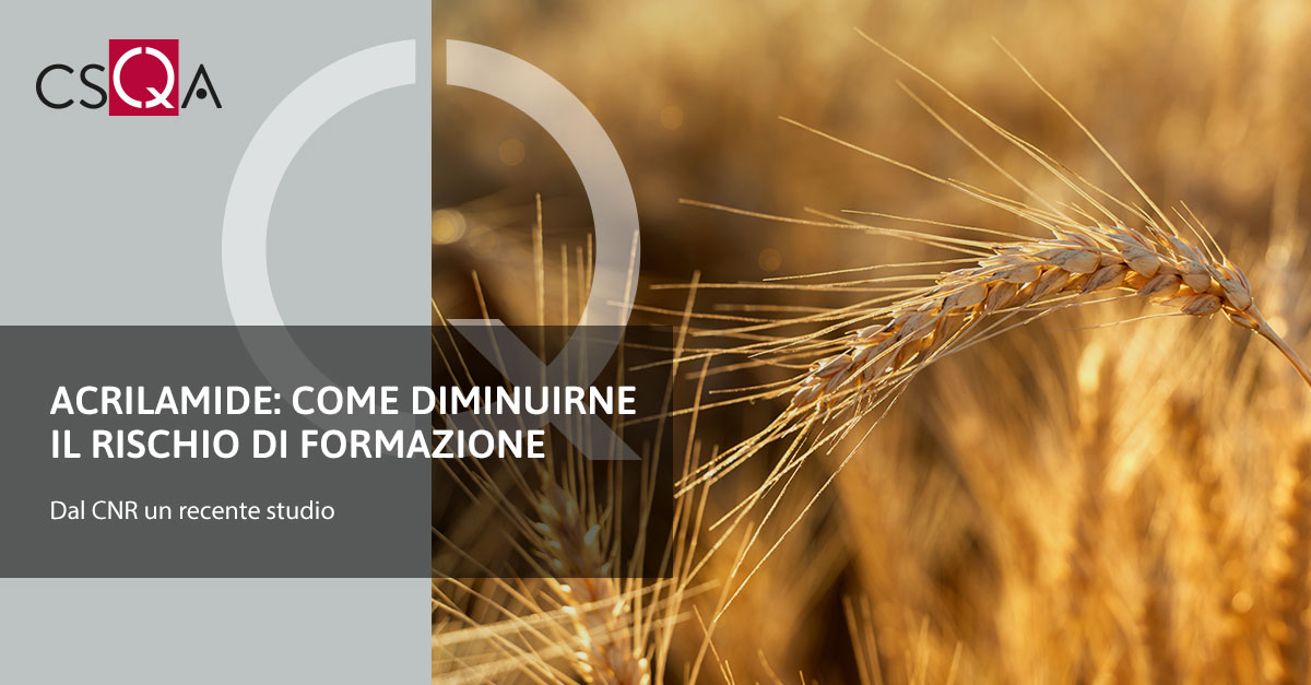 Acrilamide: come diminuirne il rischio di formazione