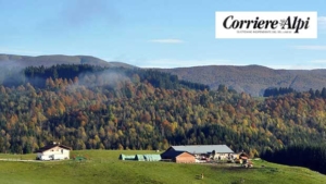 The wood supply chain in the capital, the Veneto Consortium is there