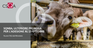 SQNBA, ulteriore proroga per l’adesione al 15 ottobre