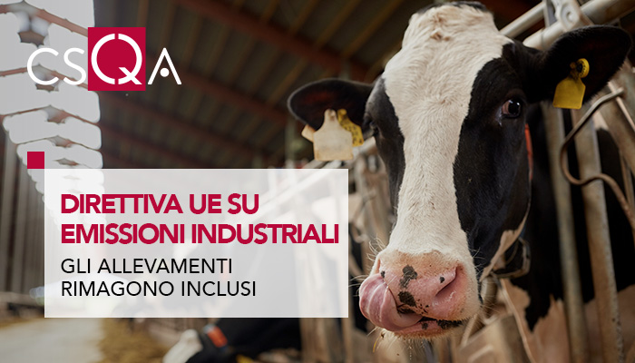 UE, accordo sulla direttiva emissioni industriali: gli allevamenti rimangono inclusi