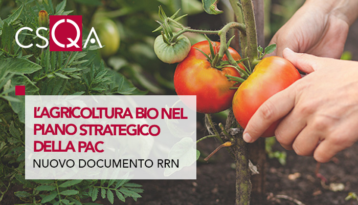 L'agricoltura biologica nel Piano Strategico della Pac italiano