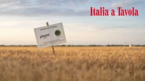 Molini Pivetti: short supply chain and professional flours, from the choice of wheat to technical support