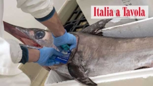 Cattel Spa, a JesolPesca la cerificazione FSSC 22000