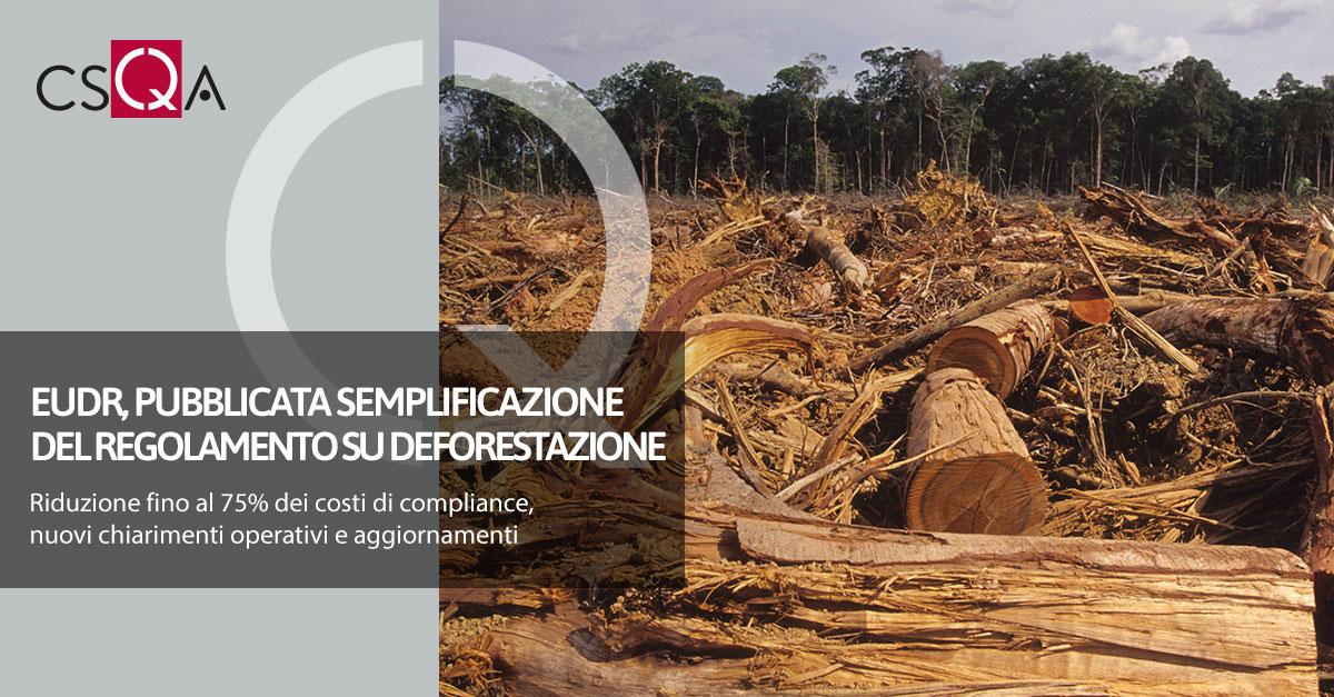 EUDR, pubblicato il pacchetto di semplificazione del Regolamento sulla deforestazione